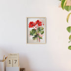 Red Geranium — Watercolor Floral Wall Art, Framed Print 8.3" × 11.7"