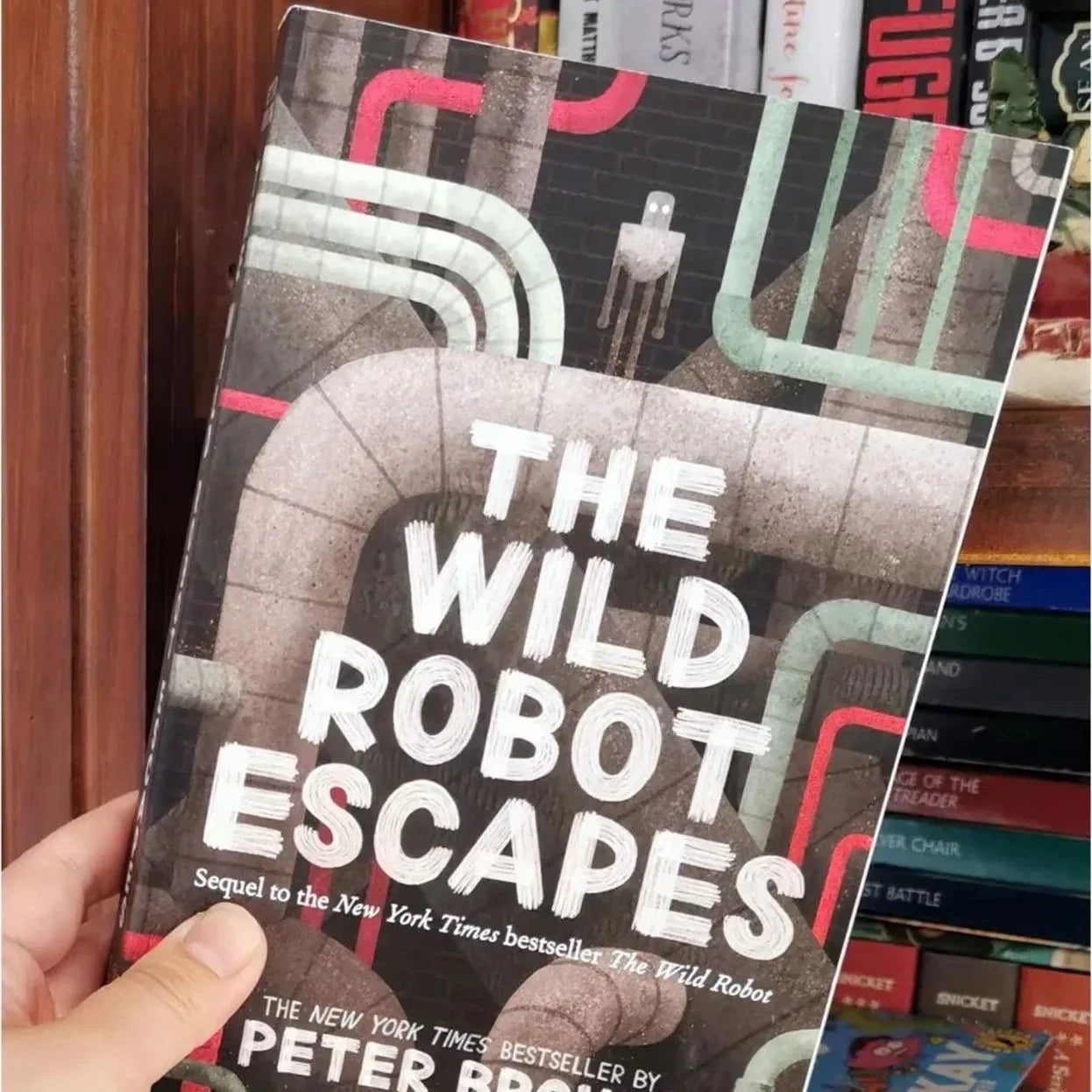 The Wild Robot Trilogy by Peter Brown - Complete 3-Book Set | DreamWorks Film