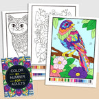Color by Number Coloring Book for Adults — 20+ Pages of Calming, Guided Designs