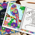 Color by Number Coloring Book for Adults — 20+ Pages of Calming, Guided Designs