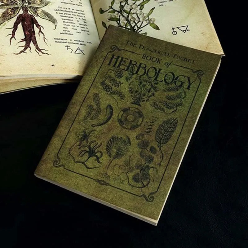 Vintage-Style Occult Mini Textbooks - Set of 4 (Alchemy, Astrology, Herbal Medicine, Magic)