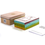 Lucid Dreams Tarot Deck — Beginner-Friendly Cards in Tin Box with PDF Guidebook