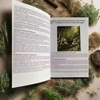 The Complete Self Healing Collection of Natural Herbal Remedies by Clara Whitfield - 1000+ Recipes Inspired by Barbara O'Neill