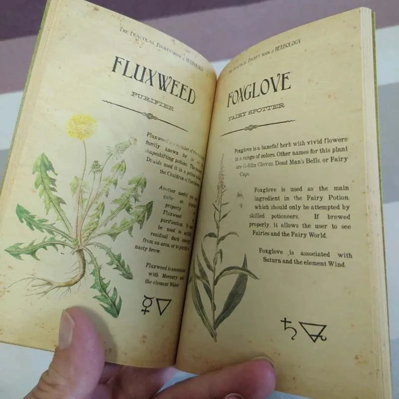 Vintage-Style Occult Mini Textbooks - Set of 4 (Alchemy, Astrology, Herbal Medicine, Magic)