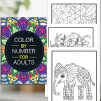 Color by Number Coloring Book for Adults — 20+ Pages of Calming, Guided Designs