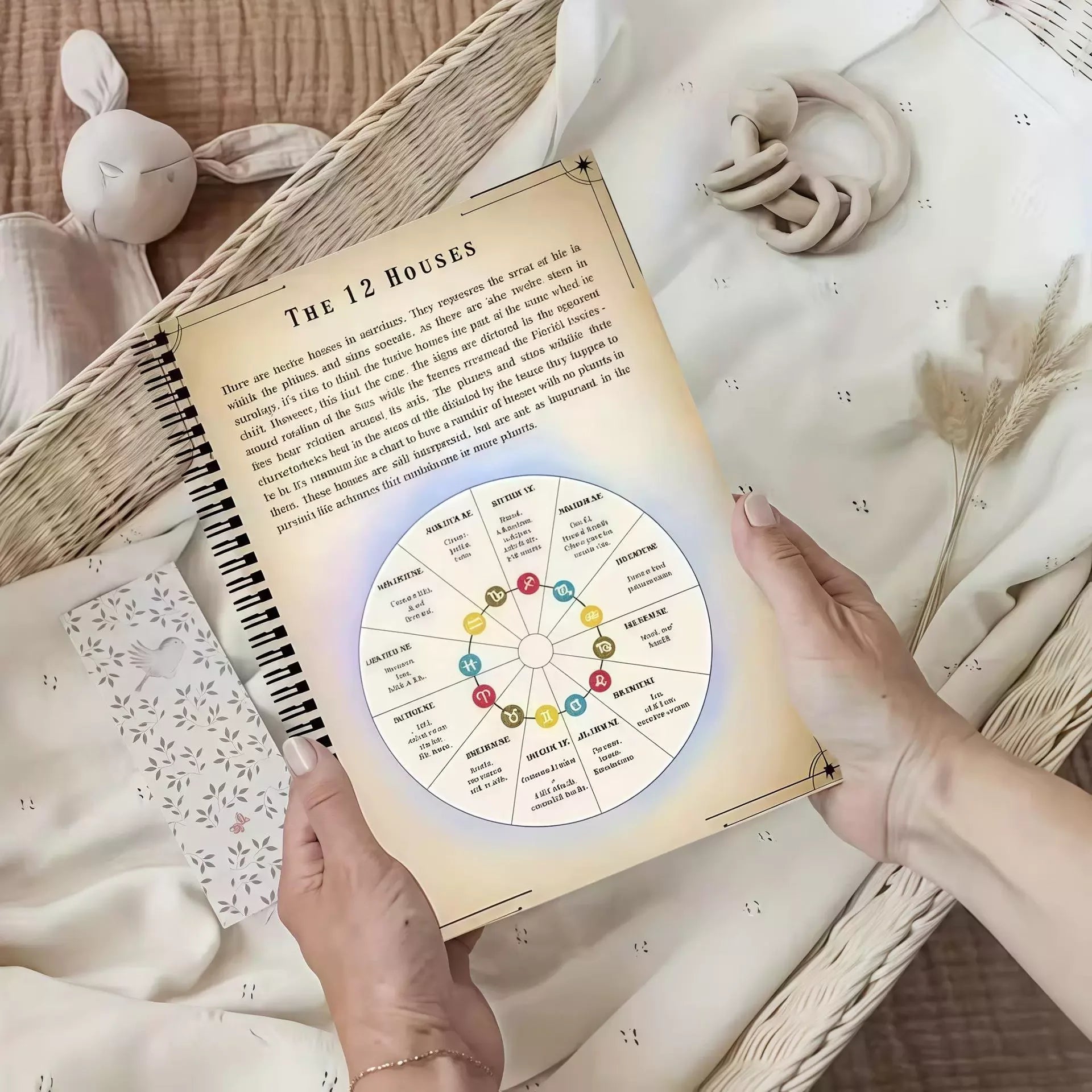 Retro Astrology Spiral-Bound Guide - Illustrated Beginner's Handbook