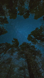 Planets, Asteroids and The 12 houses. A detailed guide to the planets, asteroids, and the 12 houses in astrology e-book