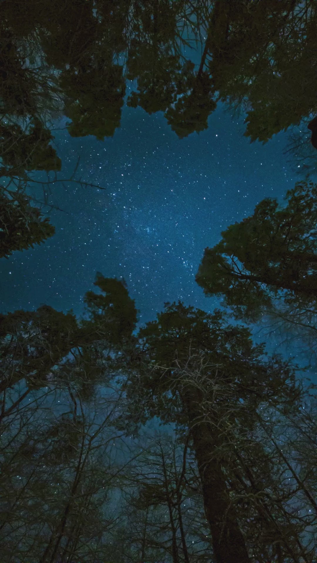 Planets, Asteroids and The 12 houses. A detailed guide to the planets, asteroids, and the 12 houses in astrology